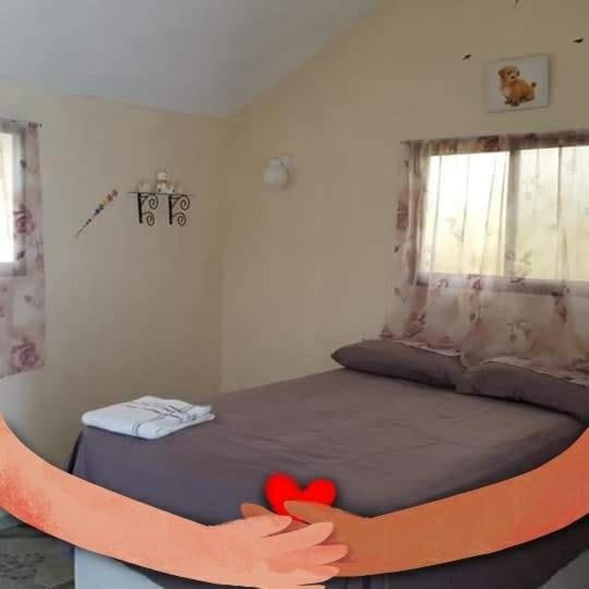 Evasion Beach Hotel Gressier エクステリア 写真