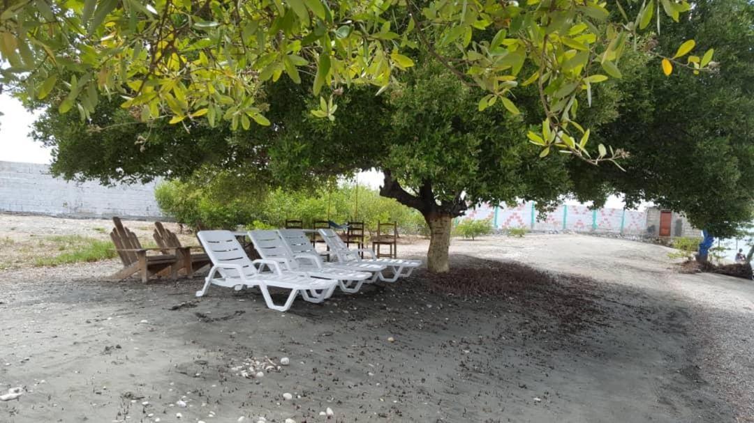 Evasion Beach Hotel Gressier エクステリア 写真